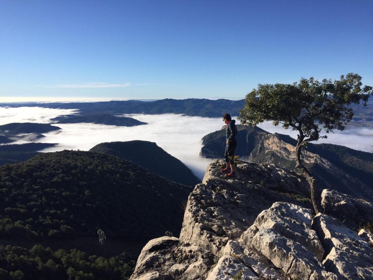 Apartamento Cinca Pirineo En Aínsa Dış mekan fotoğraf