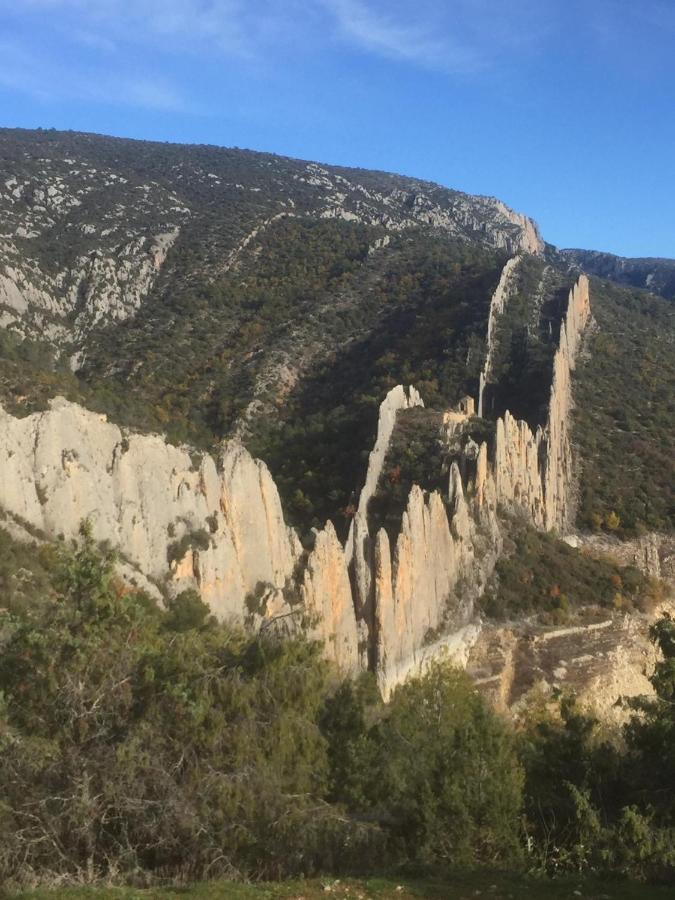 Apartamento Cinca Pirineo En Aínsa Dış mekan fotoğraf